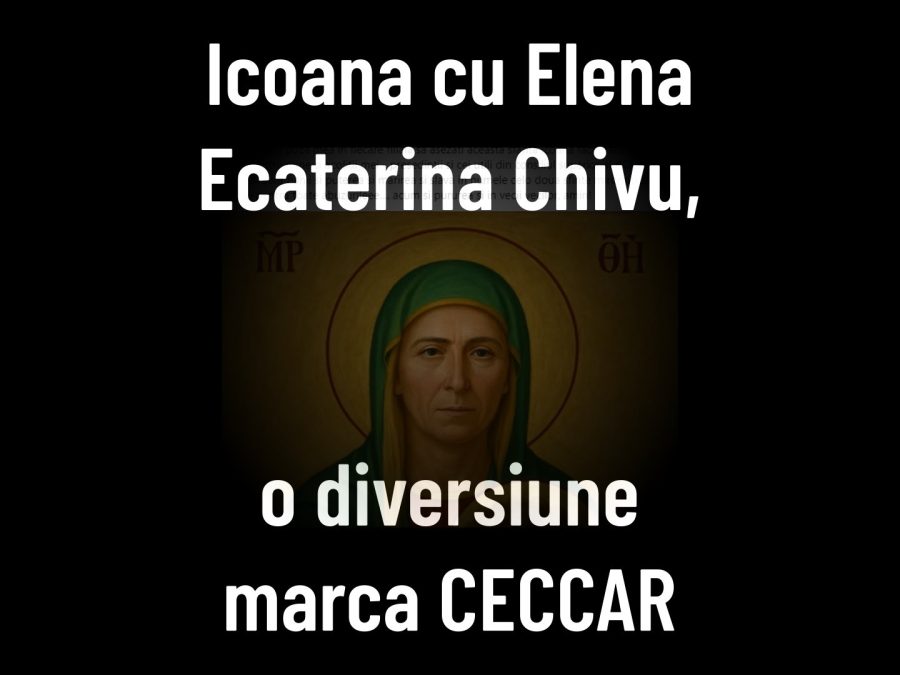 Icoana Elena Ecaterina Chivu presedinte CECCAR diversiune